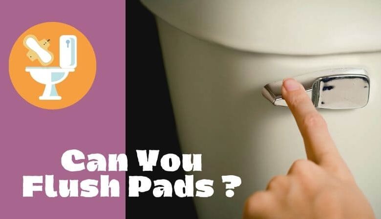 Can You Flush Pads