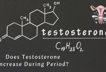 Photo of Does Testosterone Increase During Period – Know All About Ovulation