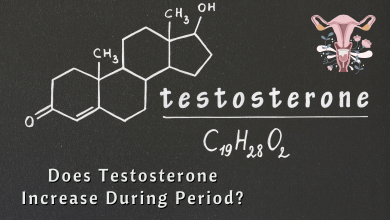 Photo of Does Testosterone Increase During Period – Know All About Ovulation